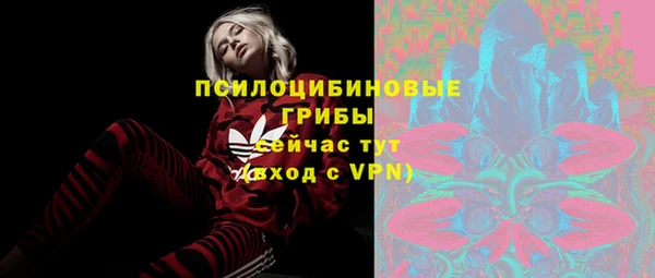 соль ск Алзамай